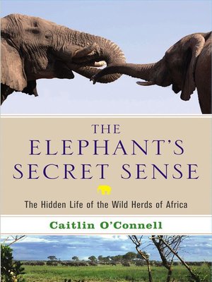 cover image of The Elephant's Secret Sense